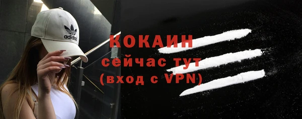 стаф Осинники