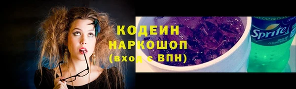 винт Няндома