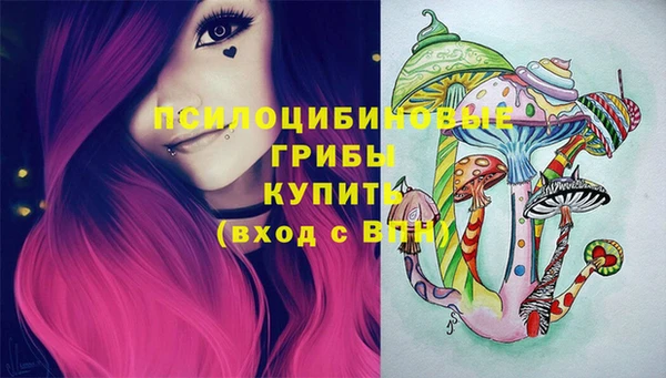 МДПВ Болотное