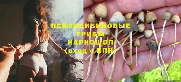 винт Няндома