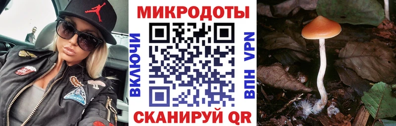 hydra как зайти  купить   Шумерля  Псилоцибиновые грибы мухоморы 