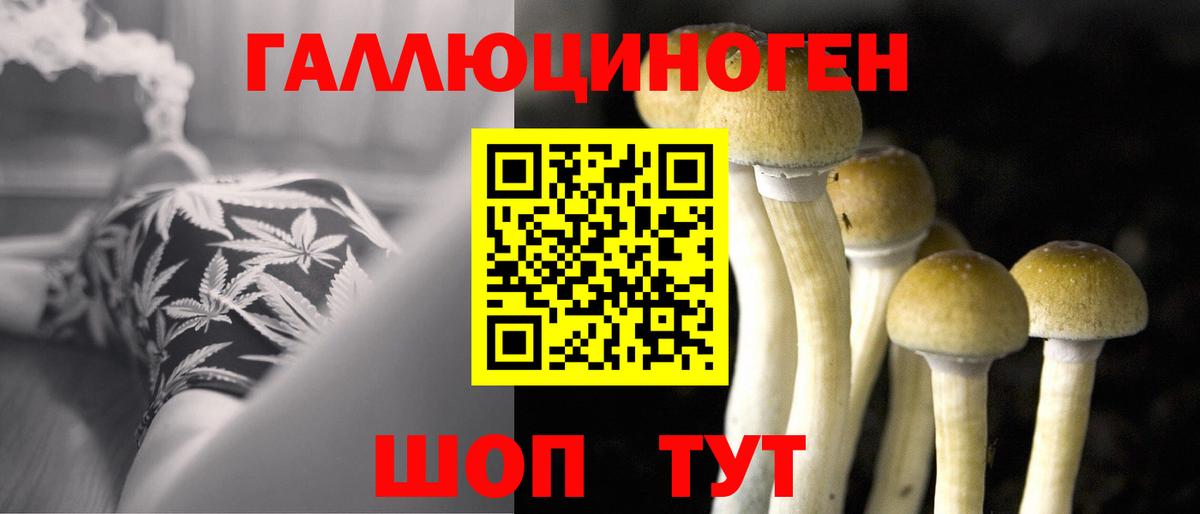 Галлюциногенные грибы MAGIC MUSHROOMS  Псилоцибиновые грибы прущие грибы  Шумерля  Вход с VPN 